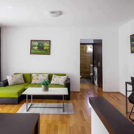 Apartament Family Rivulus 9 Baia Mare Eksteriør billede