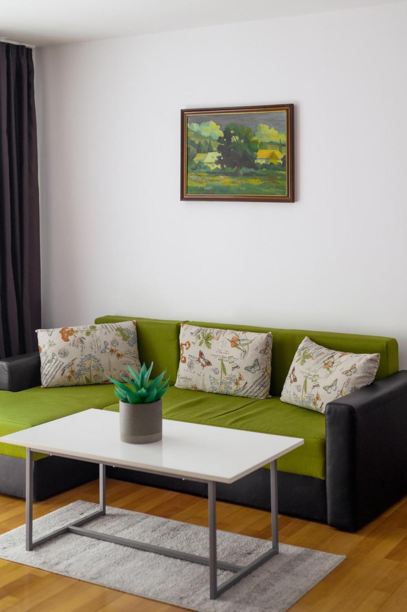 Apartament Family Rivulus 9 Baia Mare Eksteriør billede